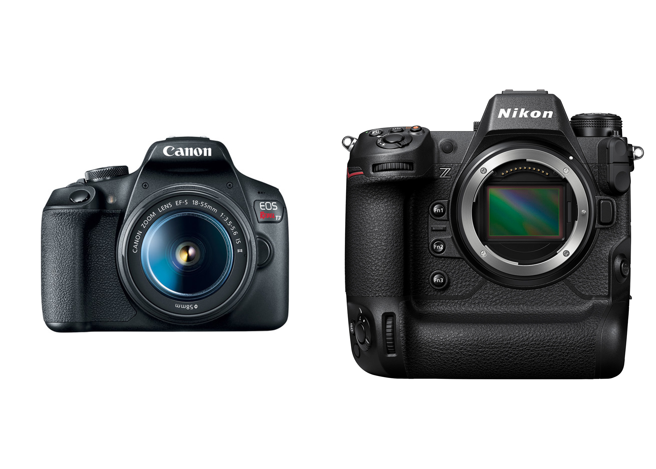 Comparison Canon Nikon Budget cameras