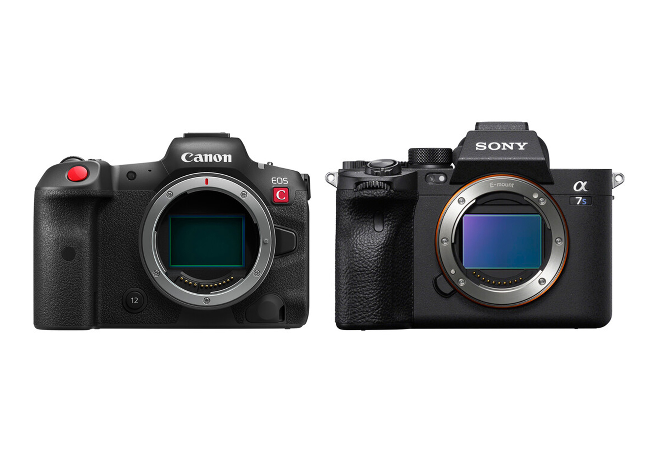 5 Things to Consider When Buying Your First Camera for Photography