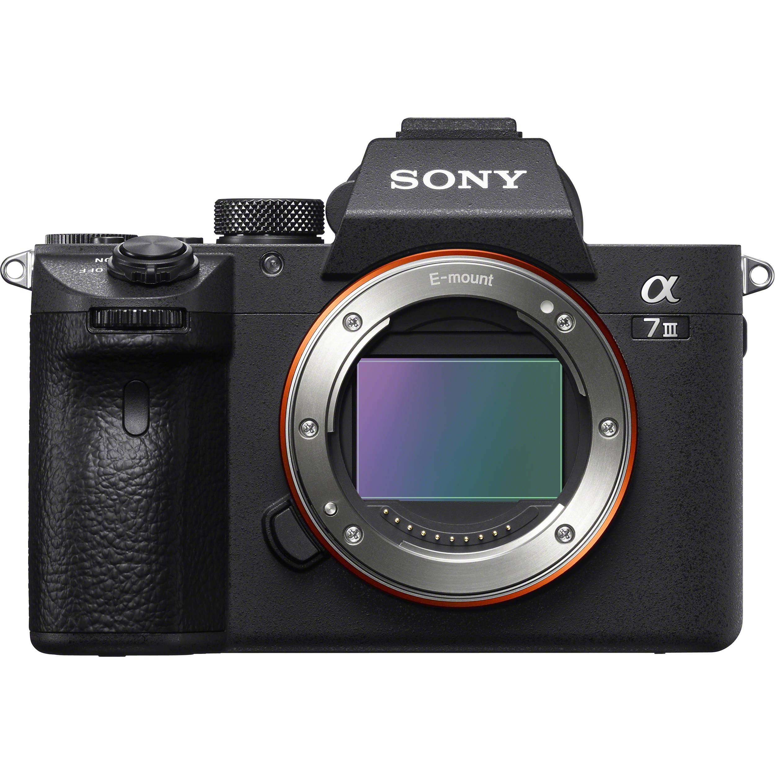 best full frame beginner cameras in 2022