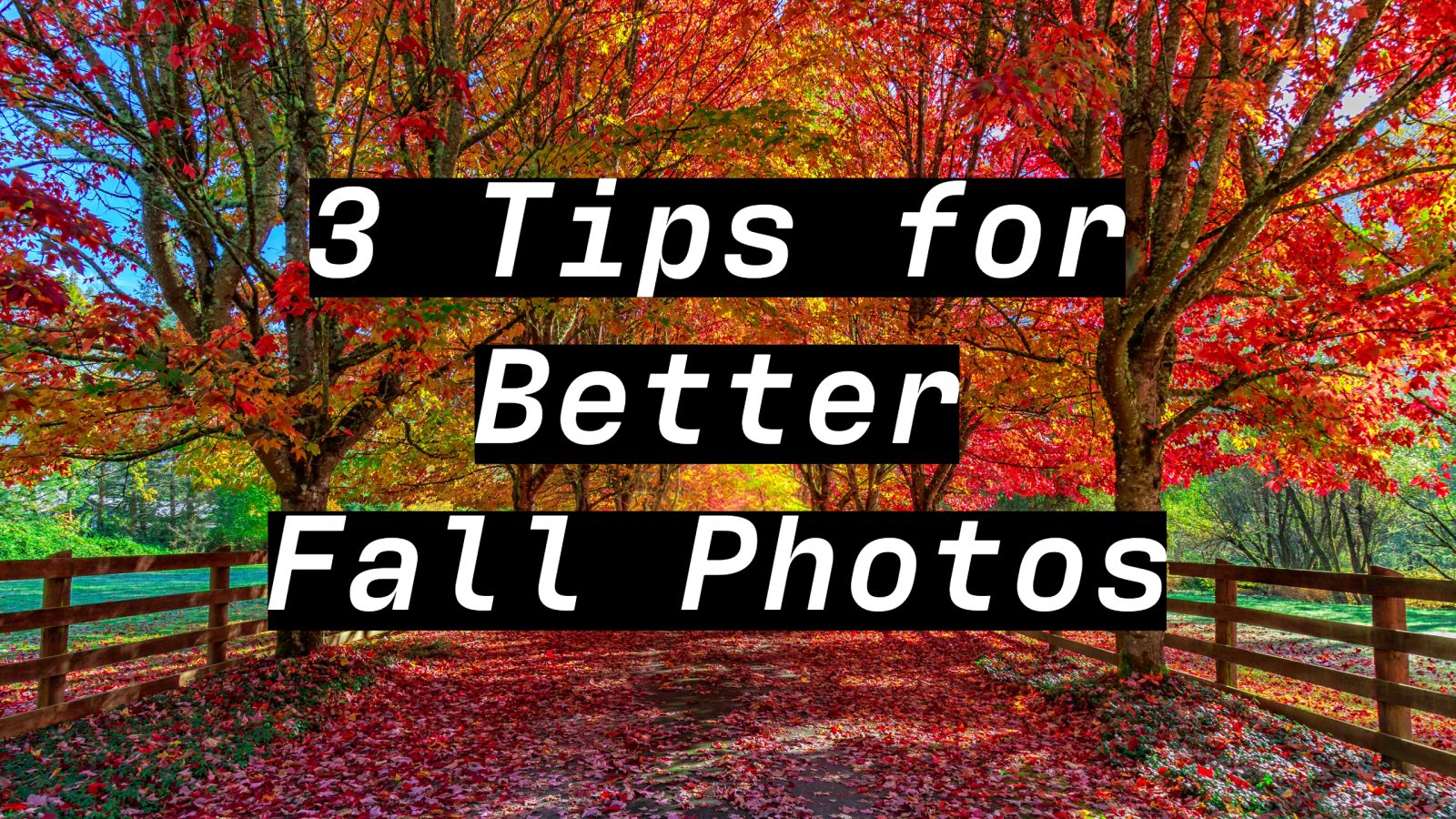 3 Tips for Capturing Fall Foliage Photos that Stand Out.