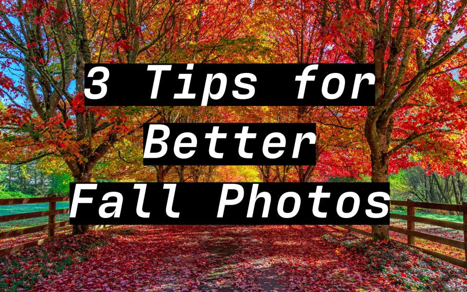 3 Tips for Capturing Fall Foliage Photos that Stand Out.